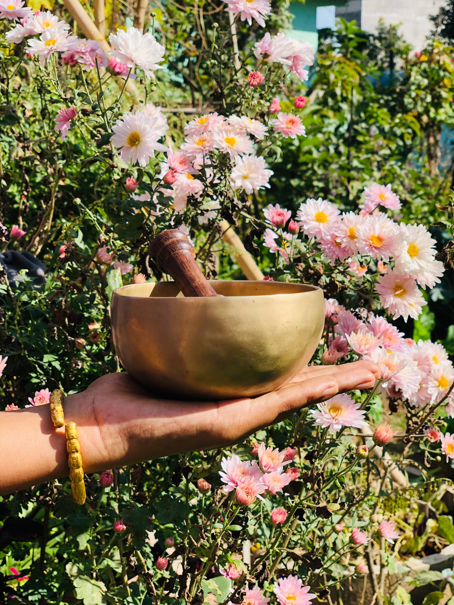 Healing Singing Bowl with Best Sound