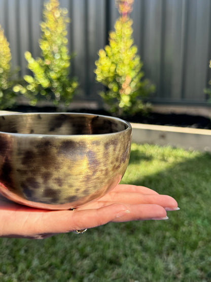 Antique Singing Bowl Set for Sound Healing