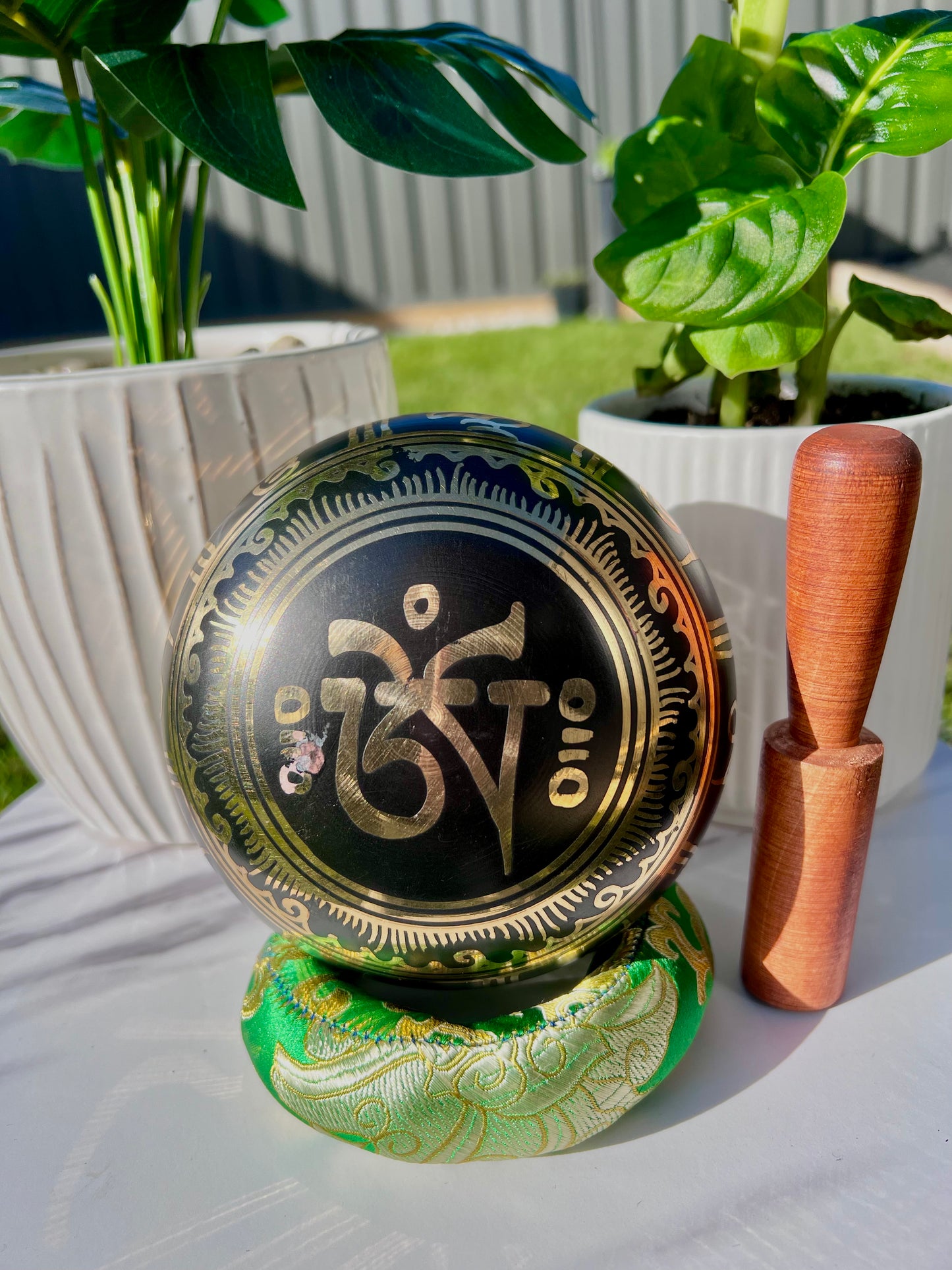 Mantra with Om at Back Carved Singing Bowl