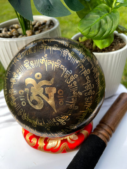 Shankha with Mantra Carved Singing Bowl