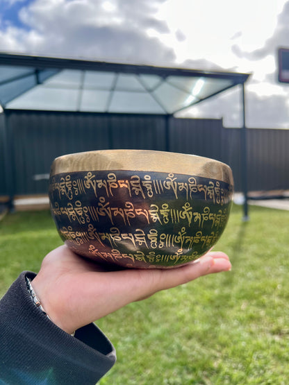 Shankha with Mantra Carved Singing Bowl